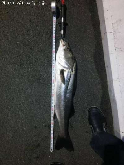 �����Х�