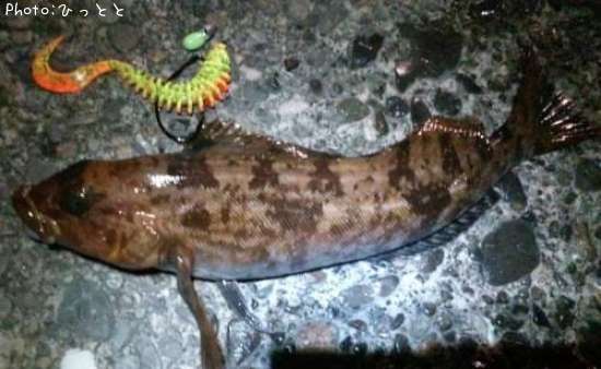 �����ʥ�