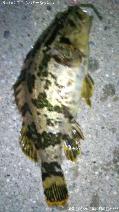 �����Υ���Х�