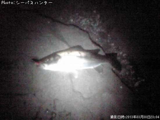 �����Х�