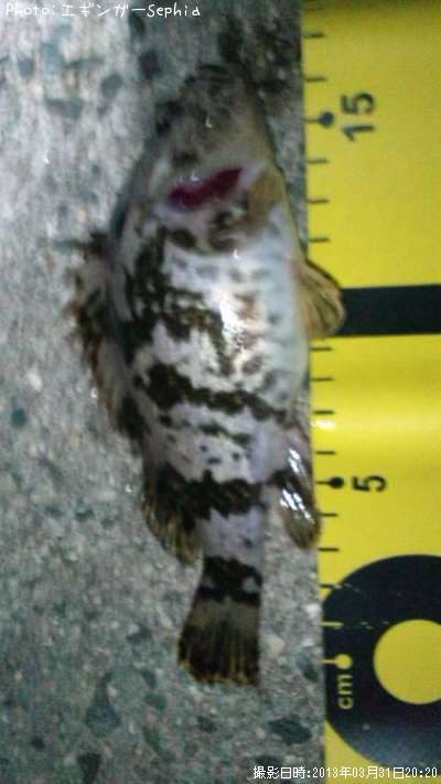 �����Υ���Х�