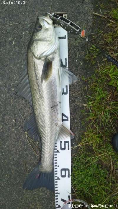 �����Х�