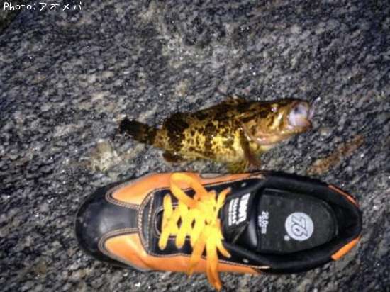 �����Υ���Х�