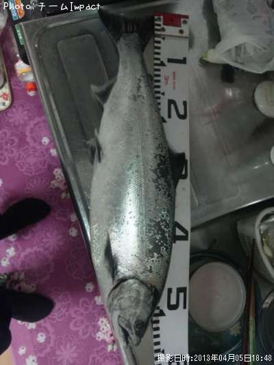 ������ޥ�