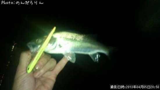 �����Х�