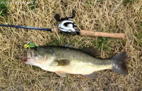 �֥�å��Х�