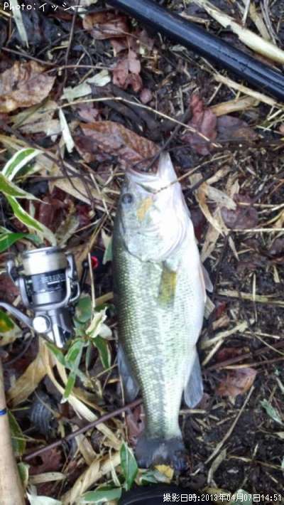 �֥�å��Х�