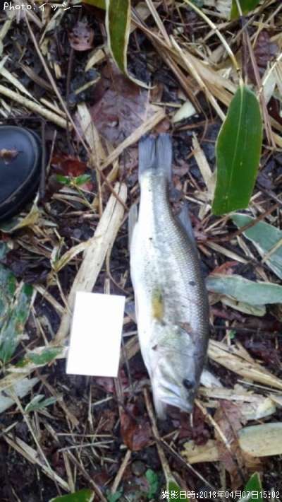 �֥�å��Х�