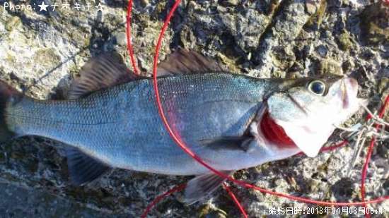 �ҥ饹����