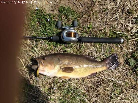 �֥�å��Х�