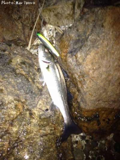 �����Х�