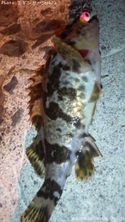 �����Υ���Х�