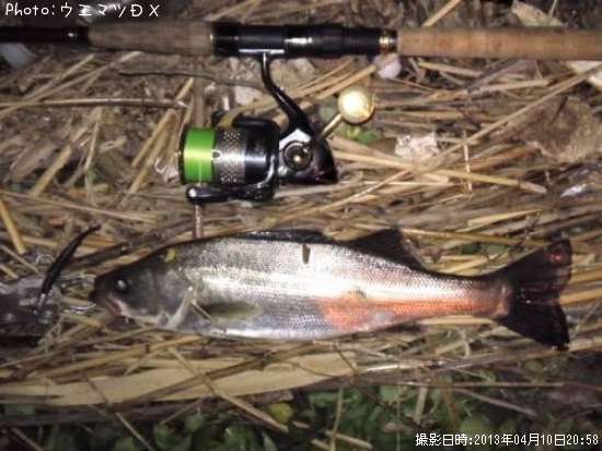 �����Х�