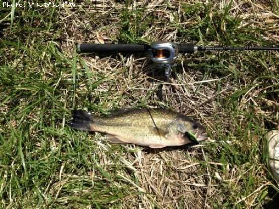 �֥�å��Х�