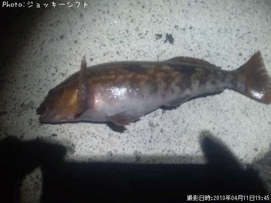 �����ʥ�