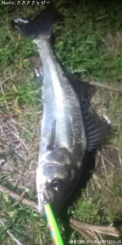 �����Х�