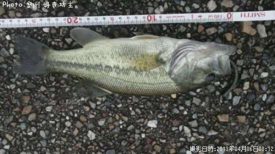 �֥�å��Х�