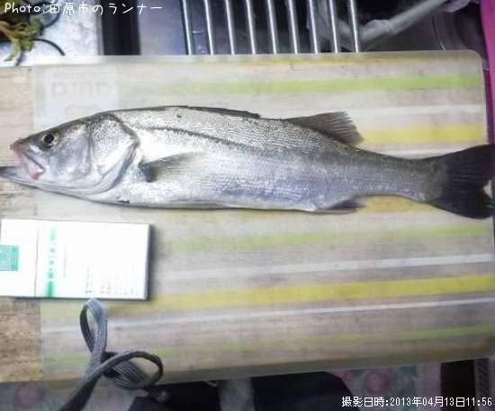 �����Х�