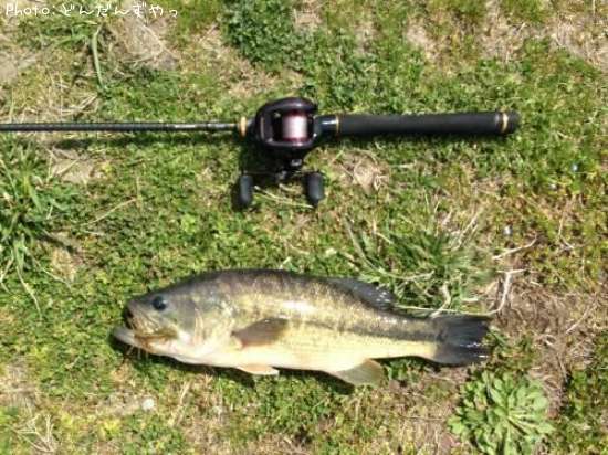 �֥�å��Х�