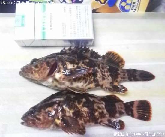 �����Υ���Х�