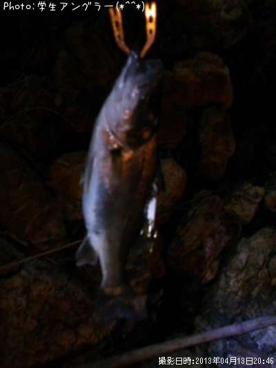 �����Х�