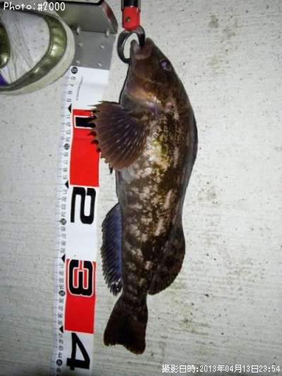 �����ʥ�