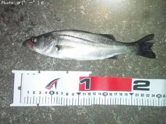 �����Х�