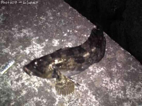 �����ʥ�