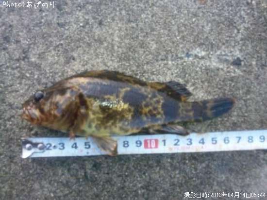 �����Υ���Х�