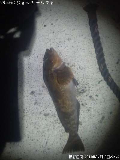 �����ʥ�