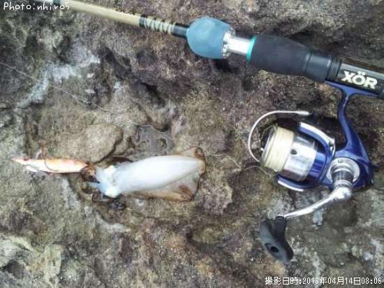 �����ꥤ��