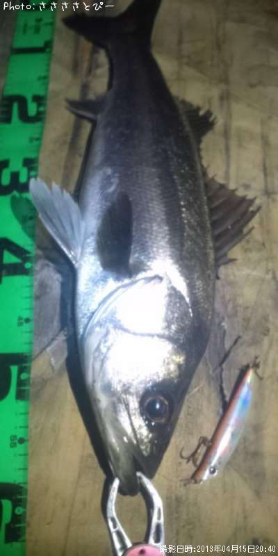 �����Х�