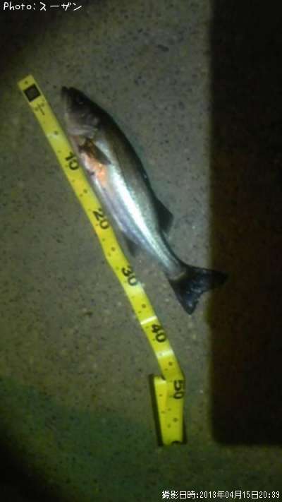 �����Х�