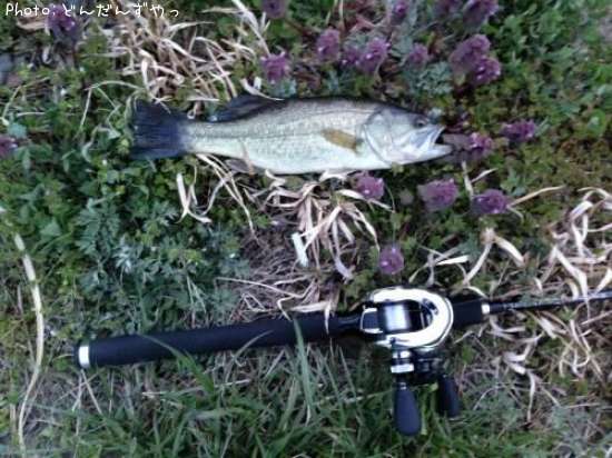 �֥�å��Х�