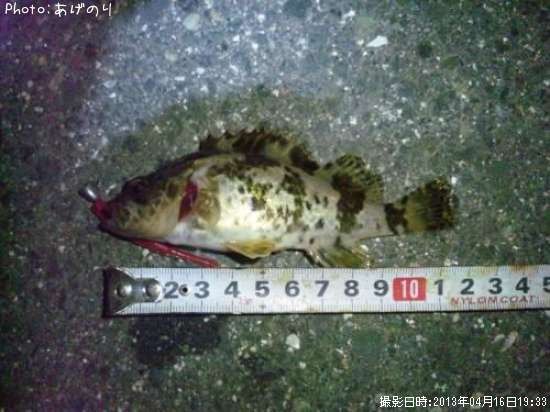 �����Υ���Х�