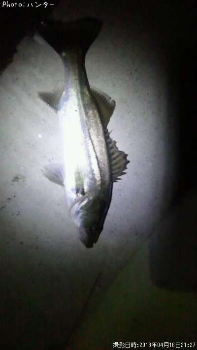 �����Х�