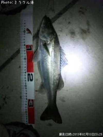 �����Х�