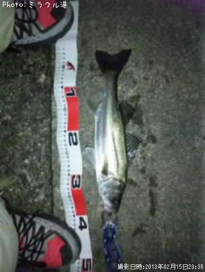 �����Х�