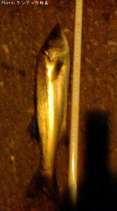 �����Х�