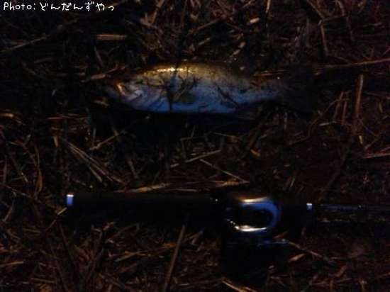 �֥�å��Х�