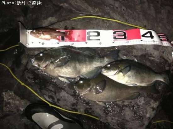 ������Ĺ�᥸��