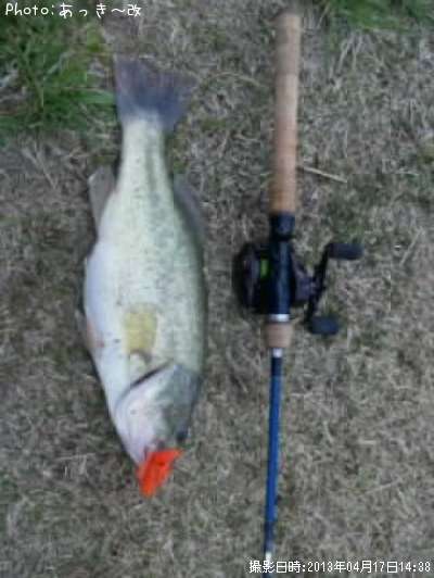 �֥�å��Х�