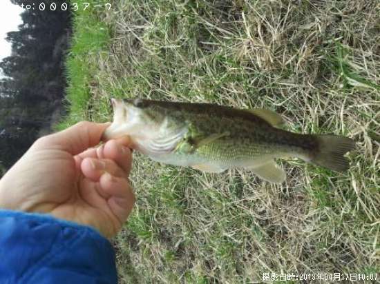 �֥�å��Х�