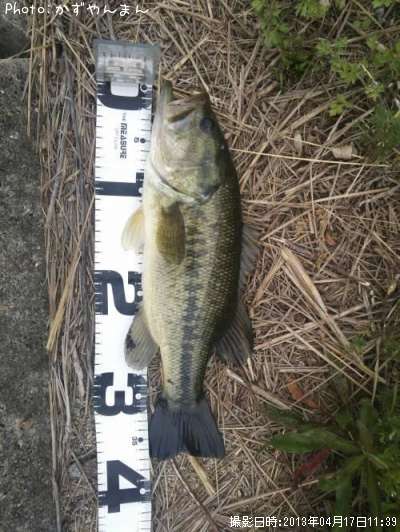 �֥�å��Х�