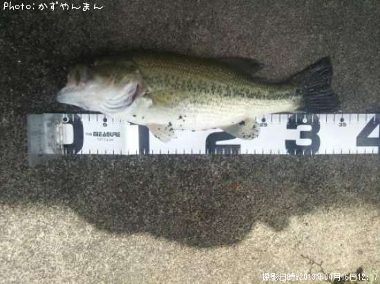 �֥�å��Х�