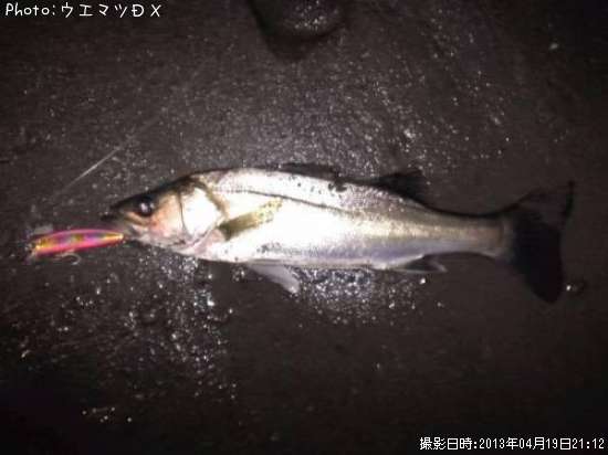 �����Х�