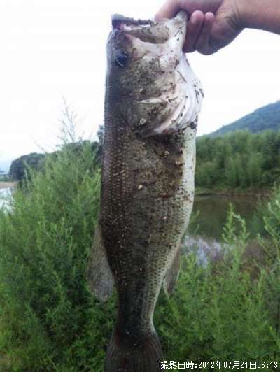 �֥�å��Х�