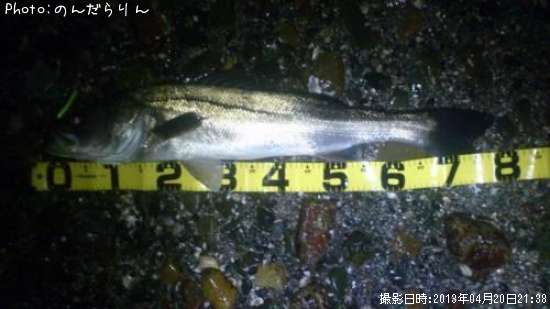 �����Х�