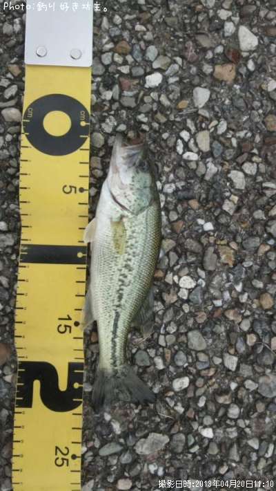 �֥�å��Х�