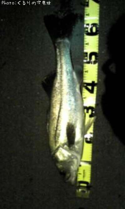 �����Х�